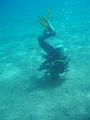 Unter Wasser (6)
